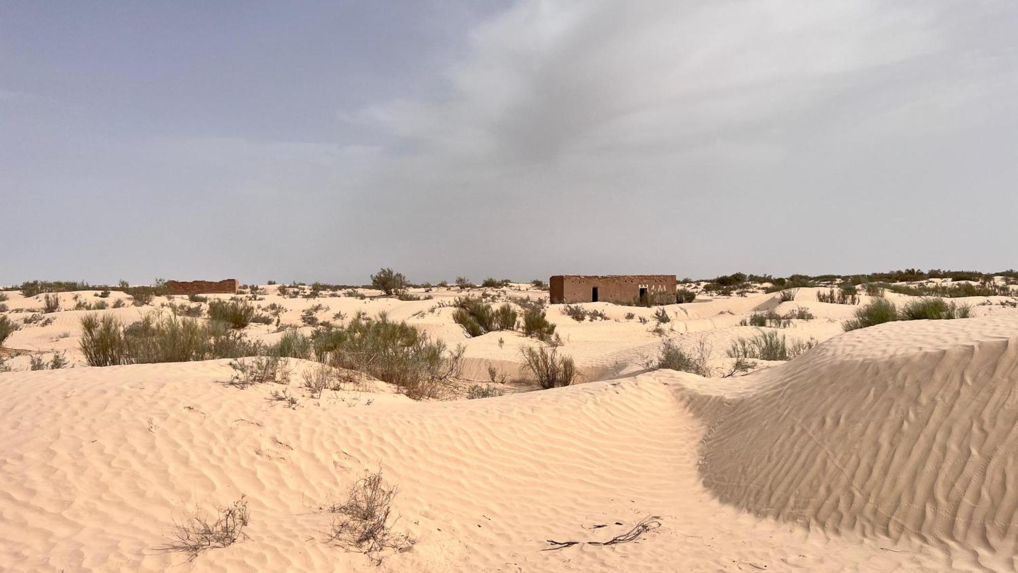 Luxury Camp Dunes Insolites Sabria 外观 照片